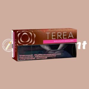 TEREA BRONZE KAZAKHSTAN